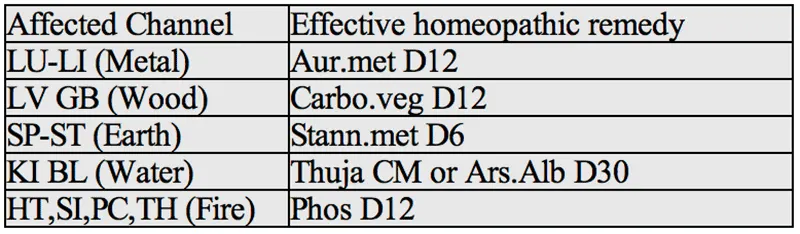 Image of table of the homeopathic remedies.