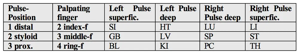 Picture of a table, showing each Pulse-Position (1, 2 or 3) and depth (superficial or deep) correlates with a specific process.